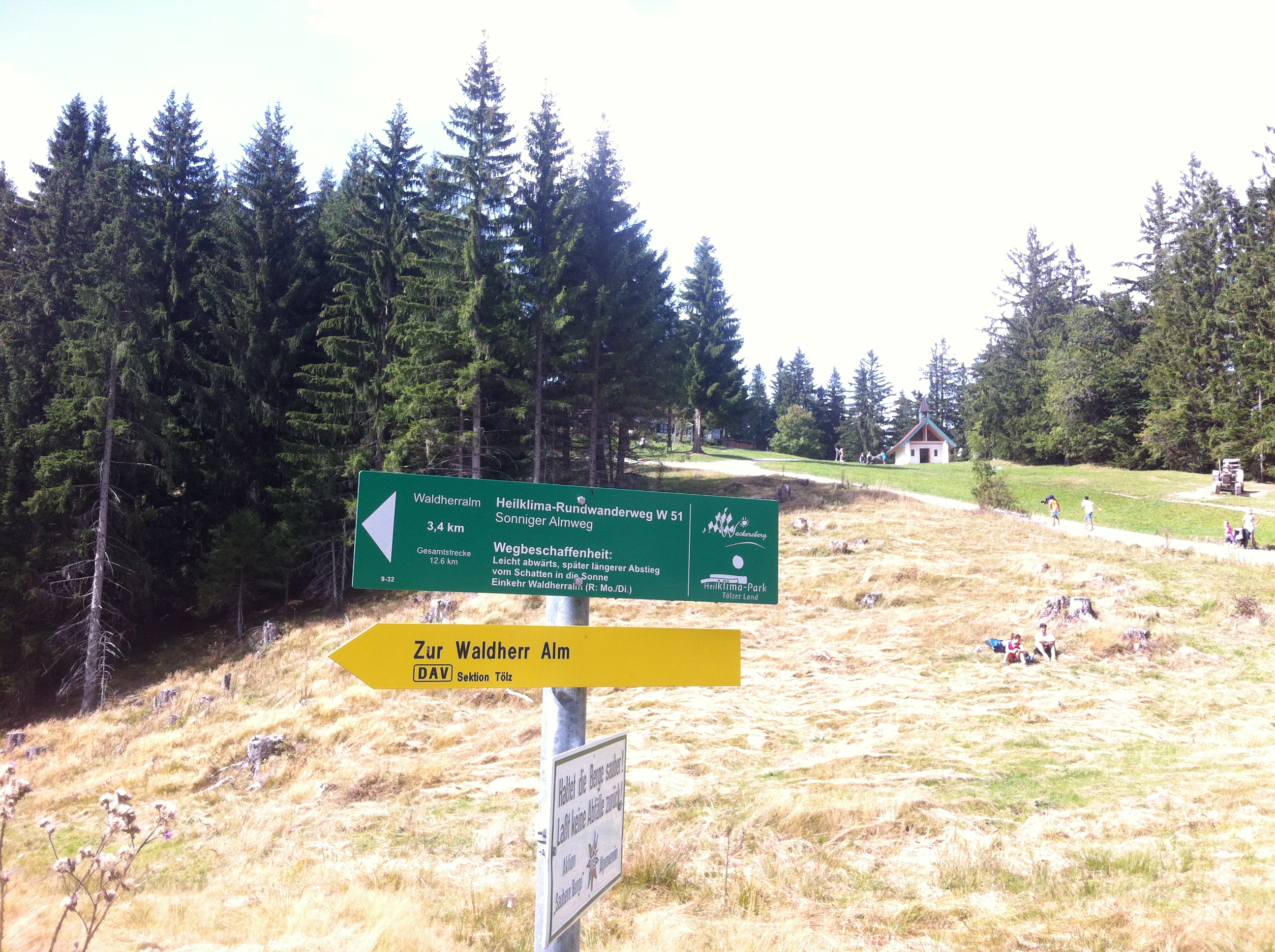 Heiglkopf15-4-Abzweig zur Waldherralm
