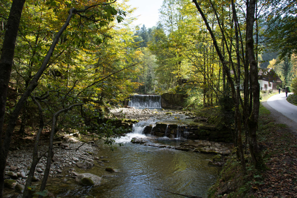 Durch das Söllbachtal zur Aueralm