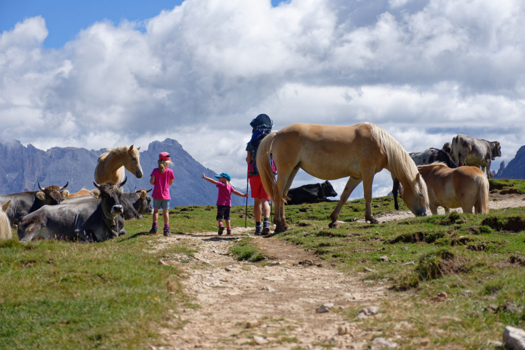 Wandern mit Kindern auf dem Schlern