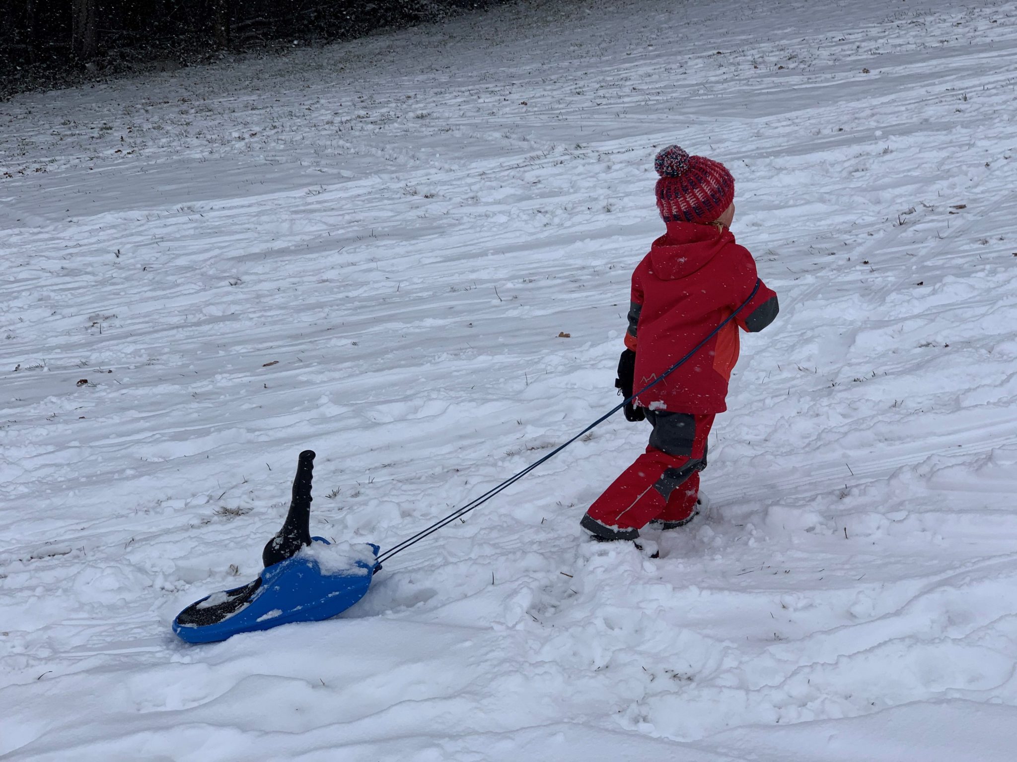 Winter-Aktivitäten mit Kindern - Winter Bucketlist Ideen | Gipfelfamilie